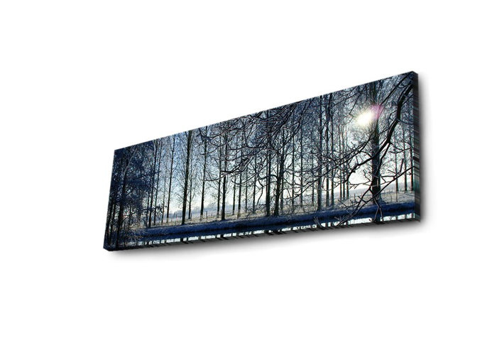 Wallity Lienzo Decorativo Iluminado con LEDs 30 x 90 cm Multicolor